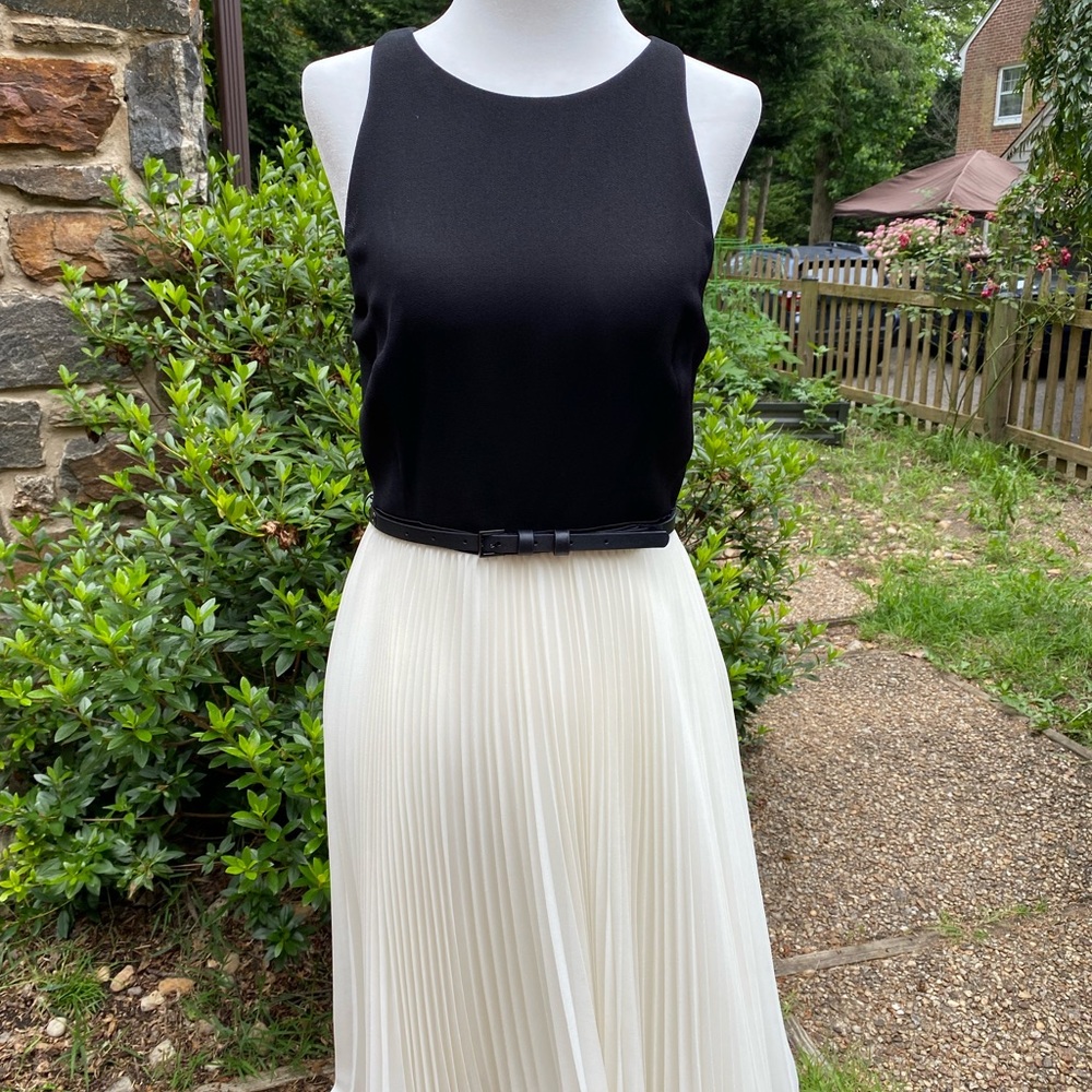 Halston Heritage cocktail dress.